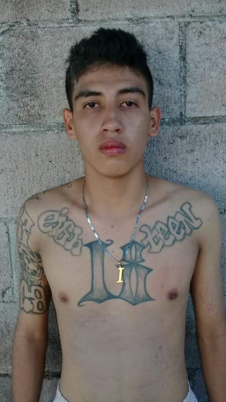 fd9407cb-dbb5-4921-b775-ecd40d4757a2