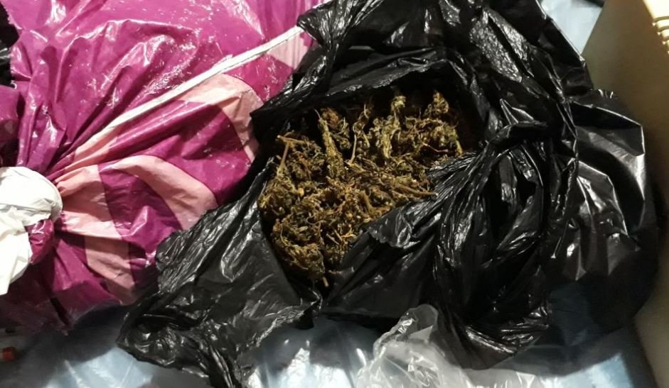 Droga en Constitución