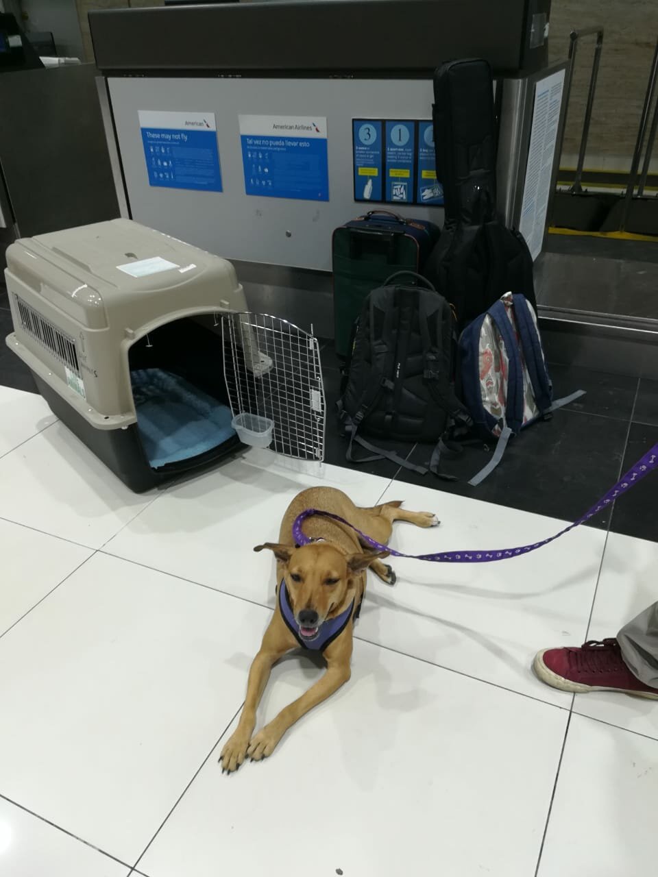 WhatsApp Image 2018-05-29 at 11.38.09