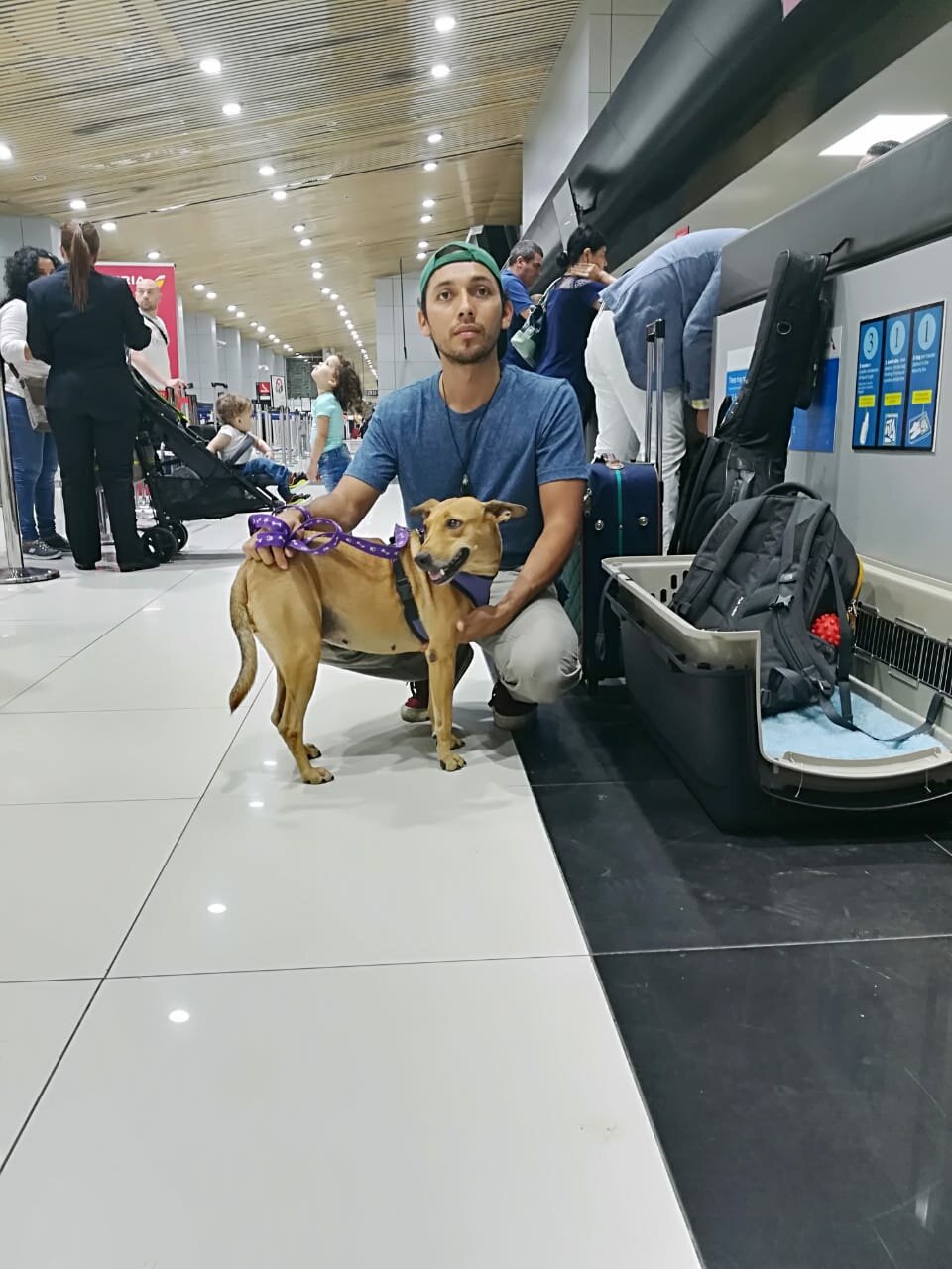 WhatsApp Image 2018-05-29 at 11.38.08