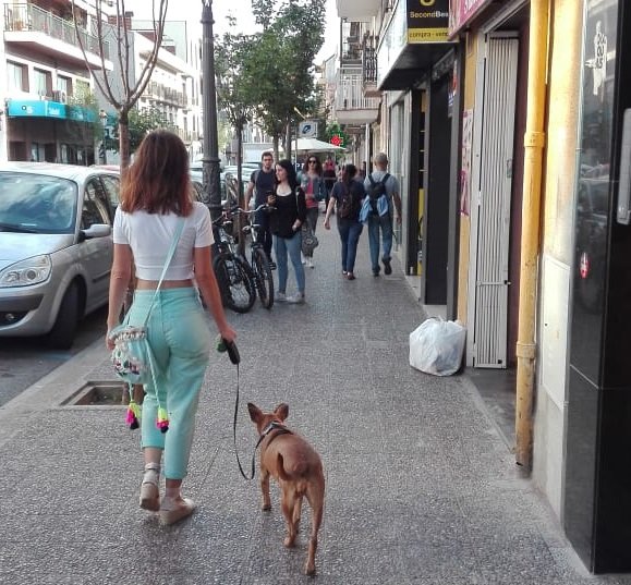 WhatsApp Image 2018-05-29 at 16.25.55