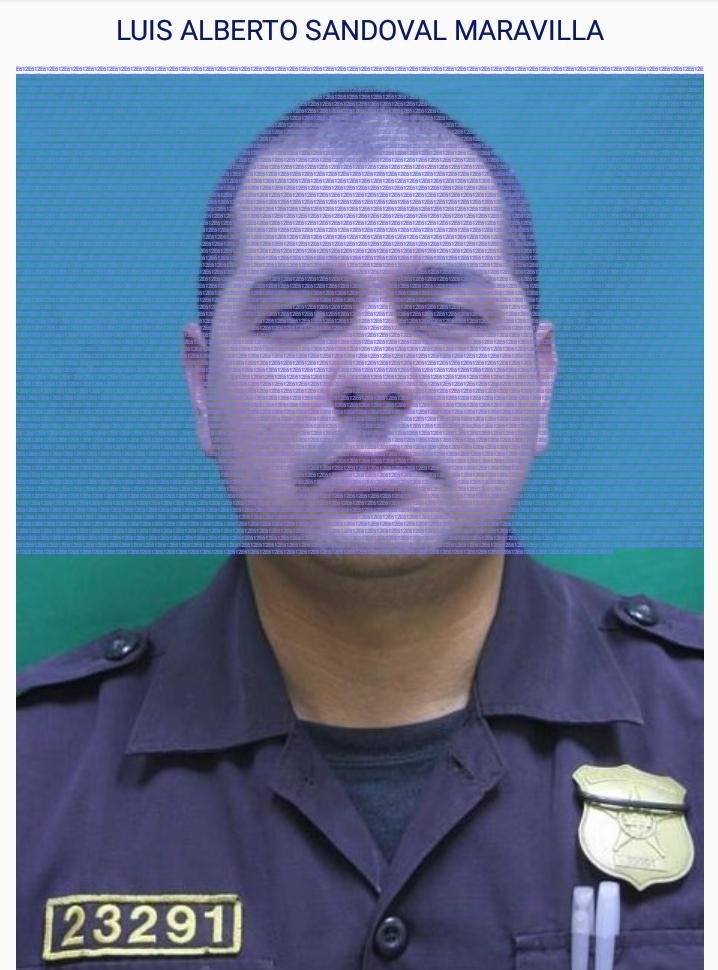 WhatsApp Image 2018-07-14 at 09.00.39