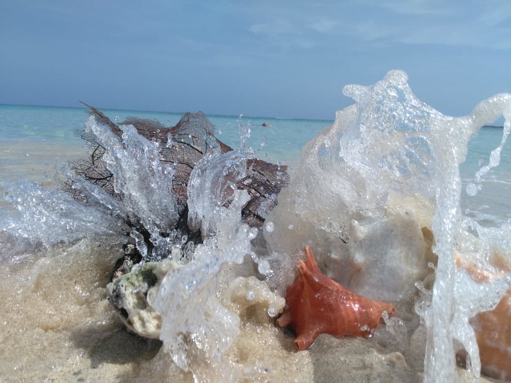 WhatsApp Image 2018-07-19 at 15.35.49