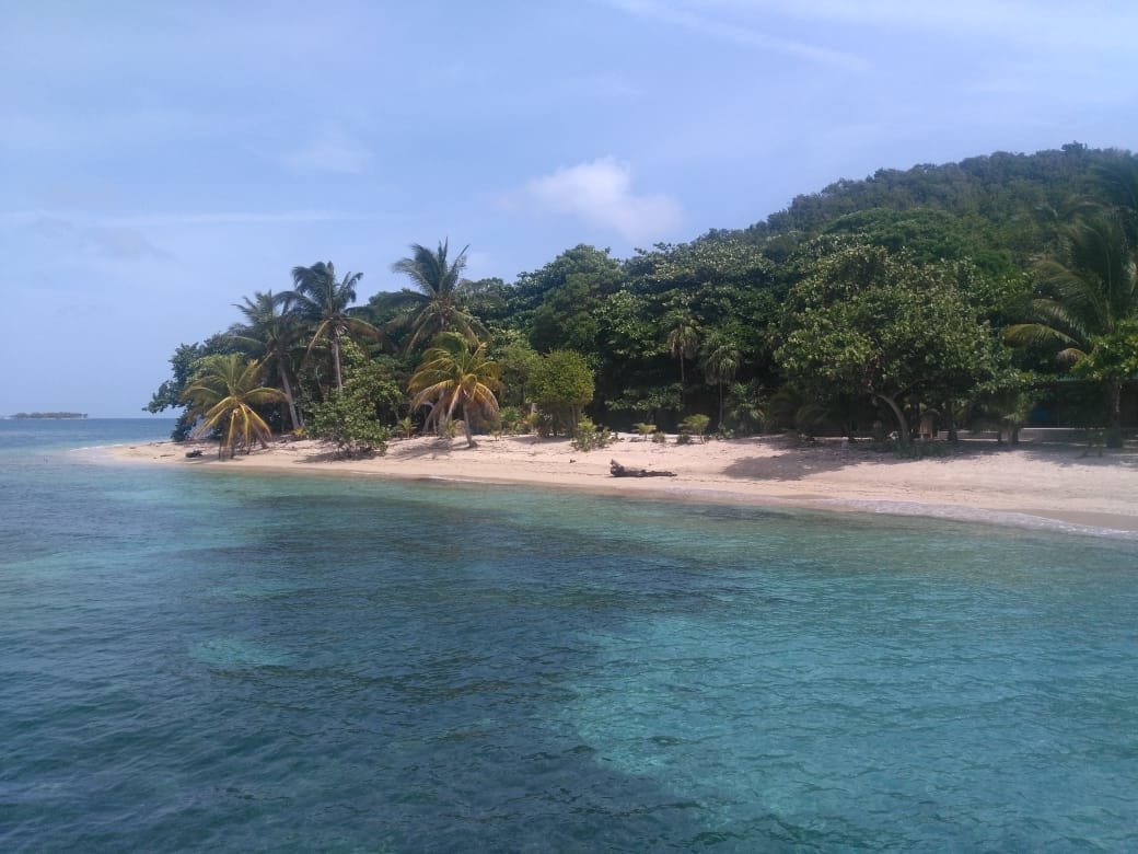 WhatsApp Image 2018-07-19 at 15.35.17 (1)