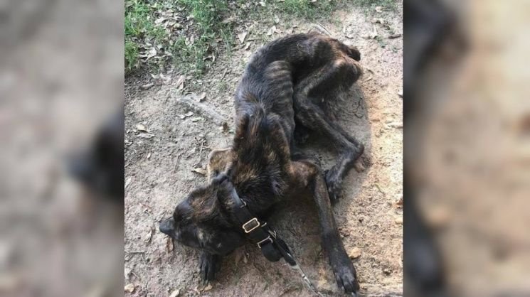 0029368948.jpg_367211184