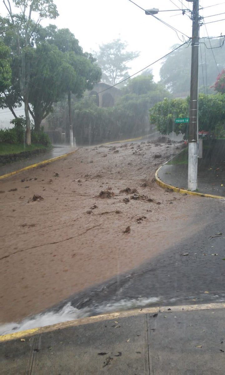 Colonia Buena Vista 1