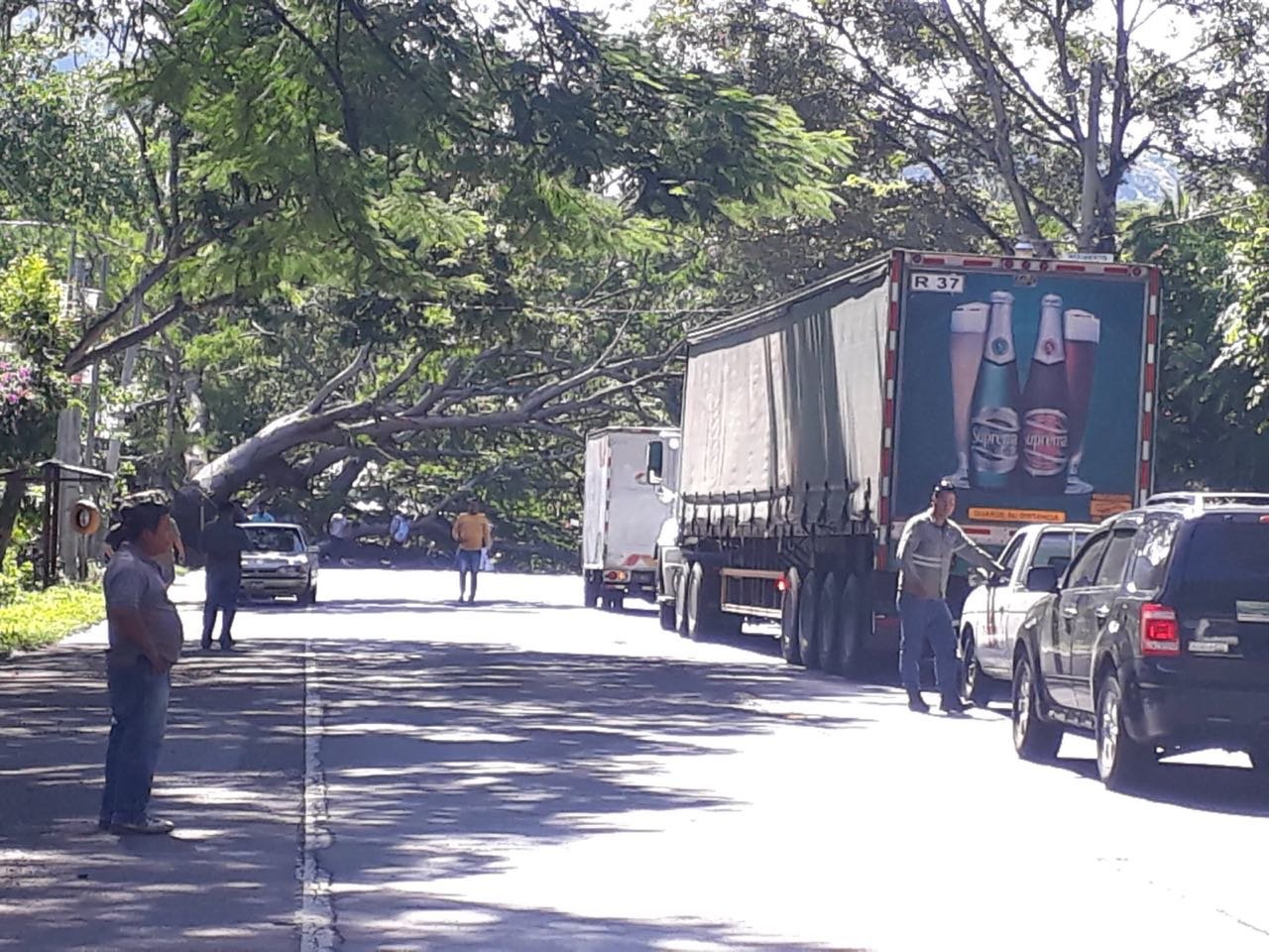 WhatsApp Image 2018-08-30 at 10.17.14 AM