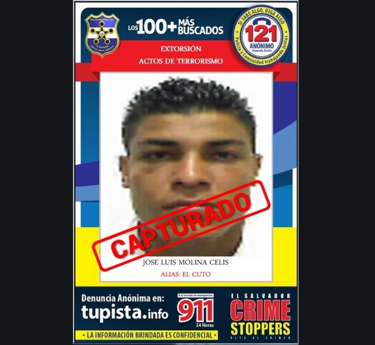 De los 100 más buscados