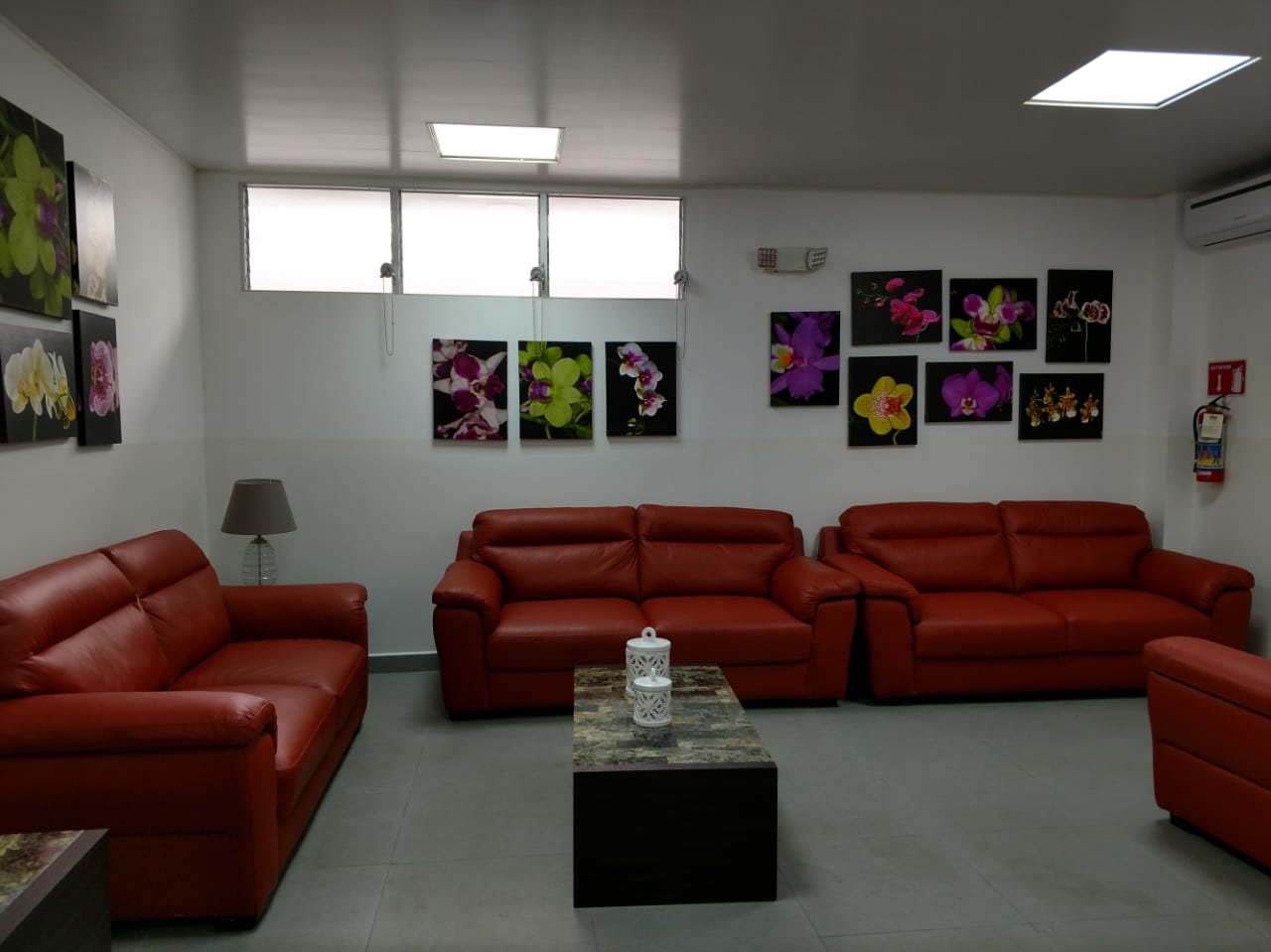 WhatsApp Image 2018-12-01 at 11.11.13 (1)