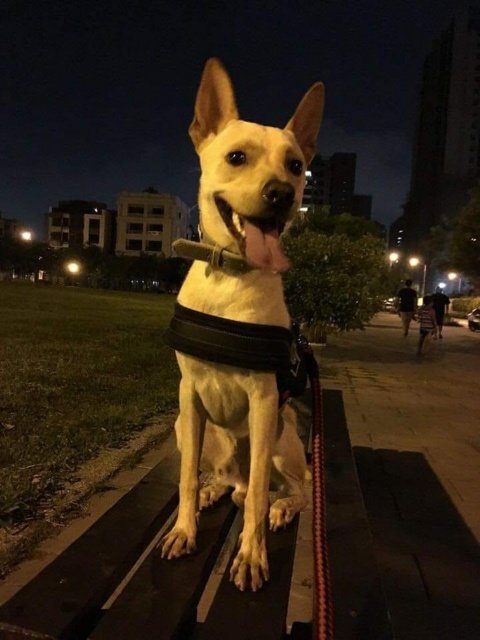 3b0d0e0e-0fa1-11e9-82cf-7b137e13b8df_2415518_1546521493-kwuf-u11201667715511awh-1024x1365lastampa.it_