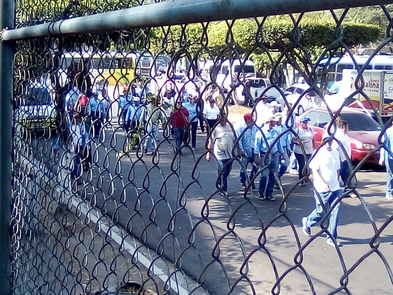 WhatsApp Image 2019-03-20 at 08.45.07