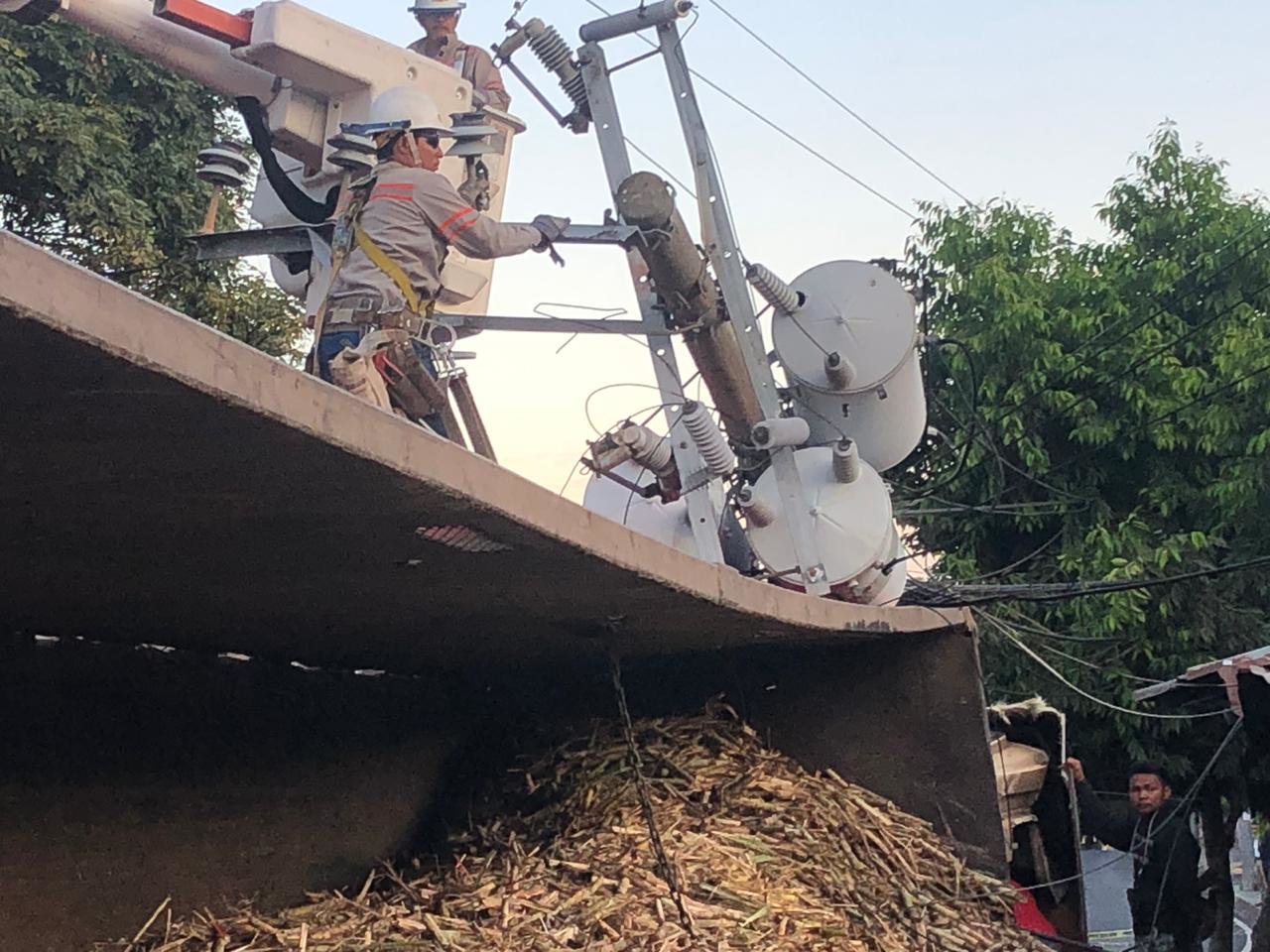 WhatsApp Image 2019-03-22 at 07.22.56