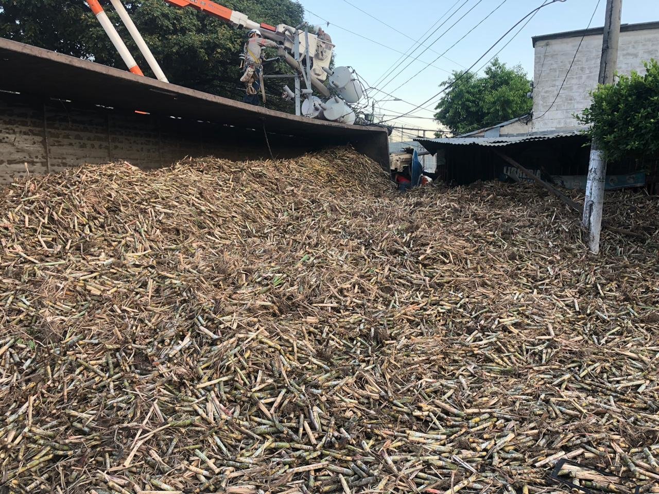 WhatsApp Image 2019-03-22 at 07.22.57 (1)