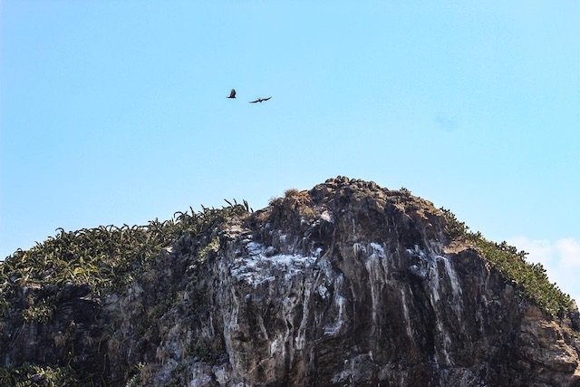 FARALLONES PUNTA SAL 3