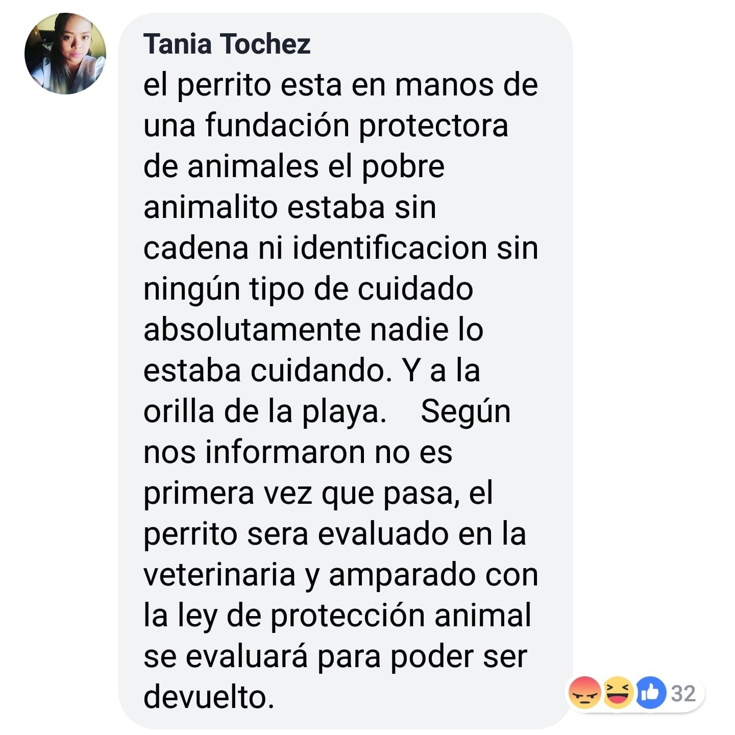 57572708_1002653389931315_8554788951926243328_o