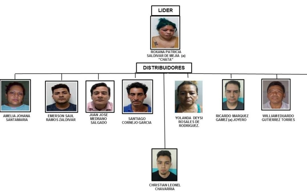 Distribuidores de doga en la Gran Manzana