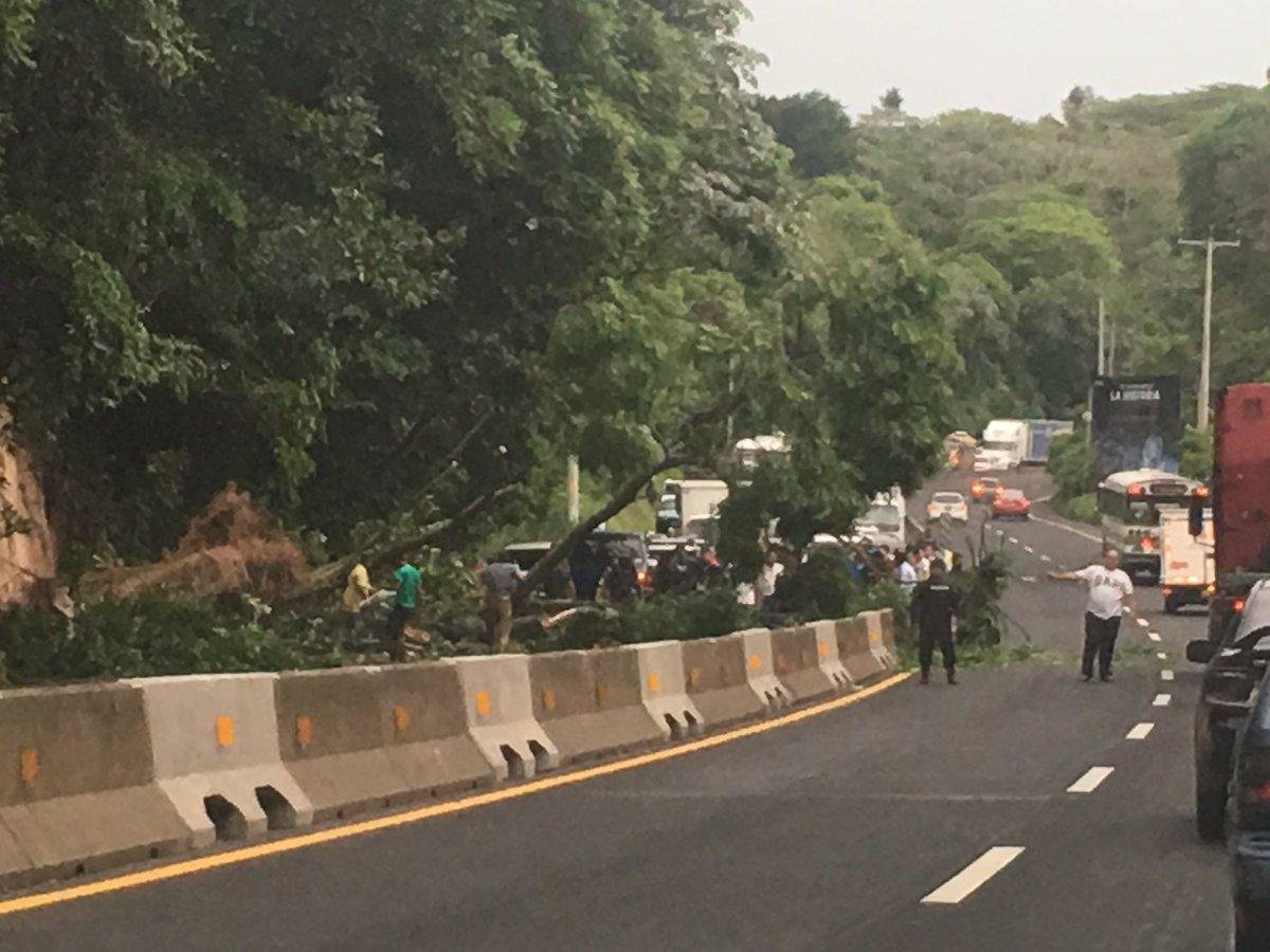 Árboles caídos en Carretera Santa Ana y San Salvador