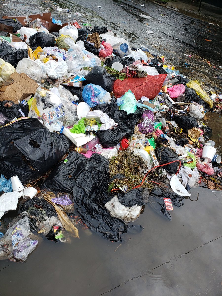 Reparto Las Cañas 2