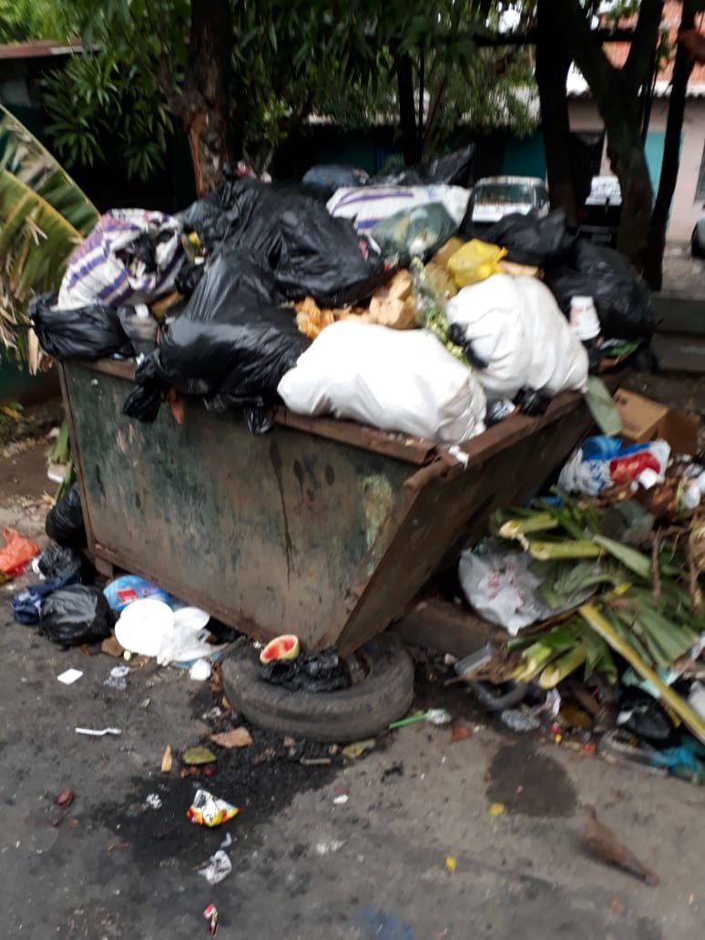 Basura Apopa1