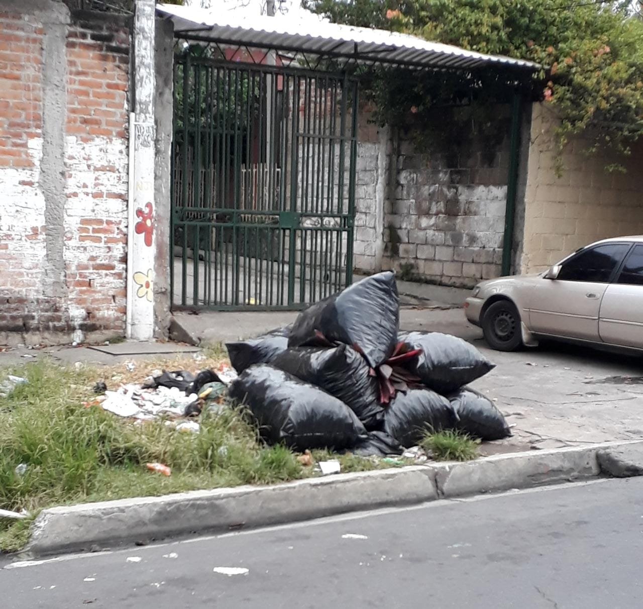 Basura Apopa2