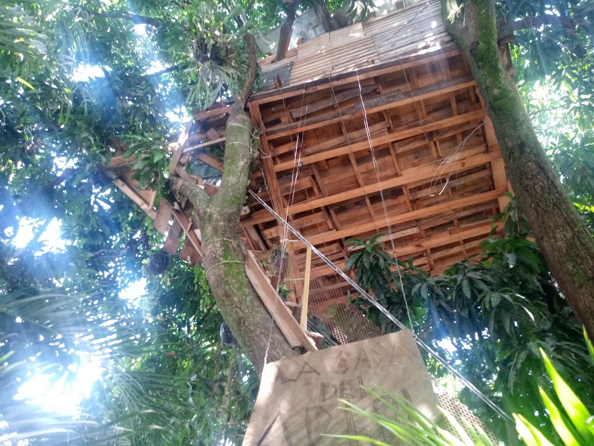 La casa del árbol