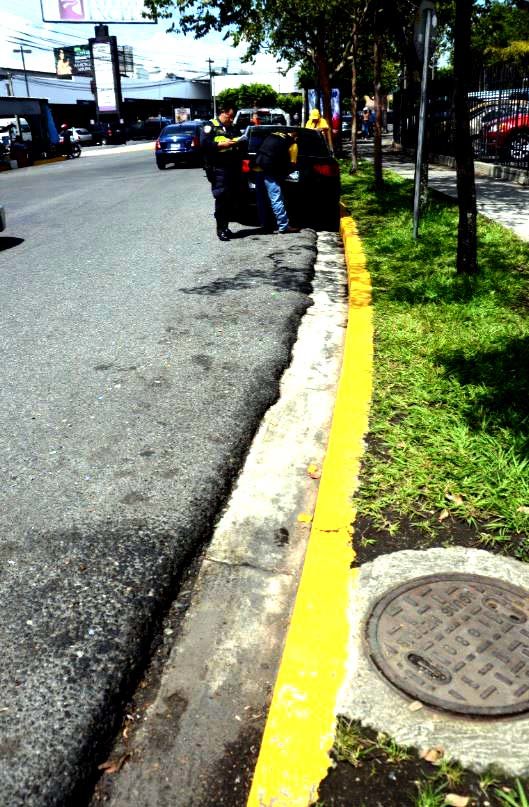 Placas decomisadas 4