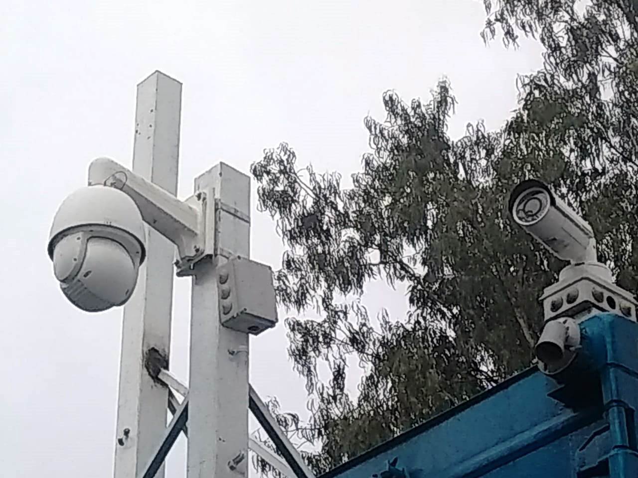 f50c0e6c-a171-4167-87ff-b2f230708083