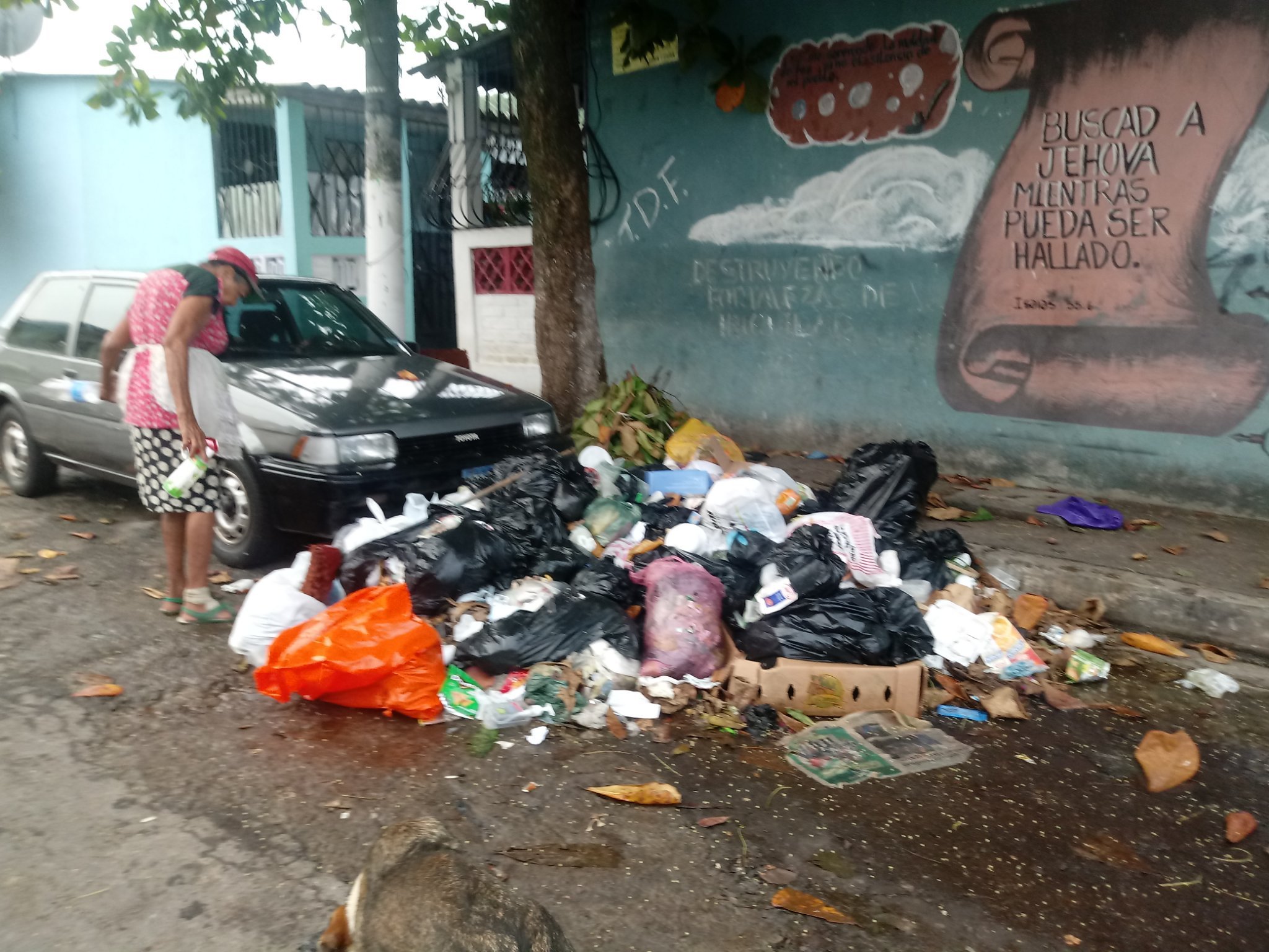 Basura en delgado 3