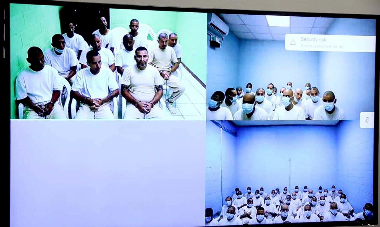 Testigo criteriado Noé 2