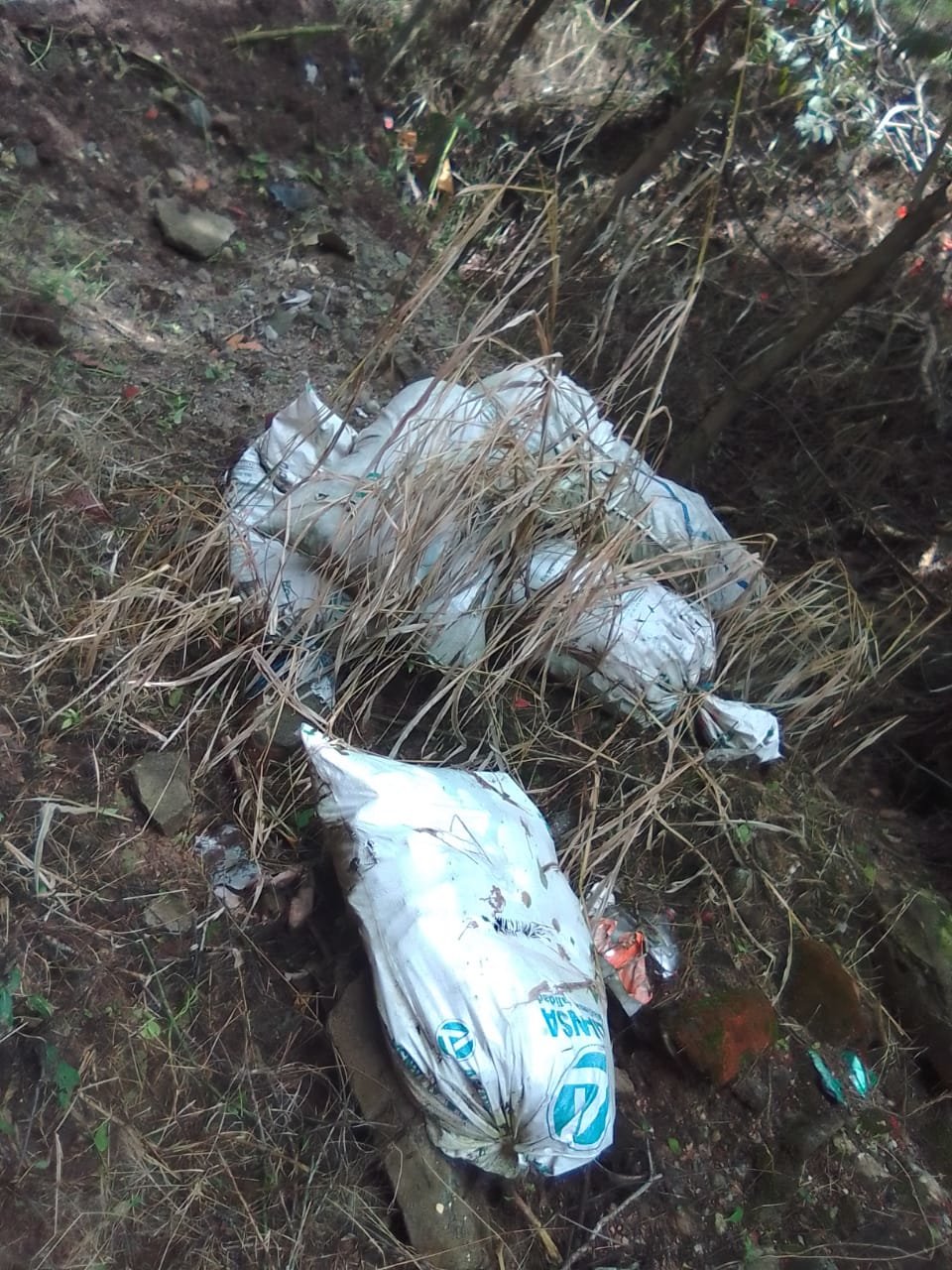 Basura2