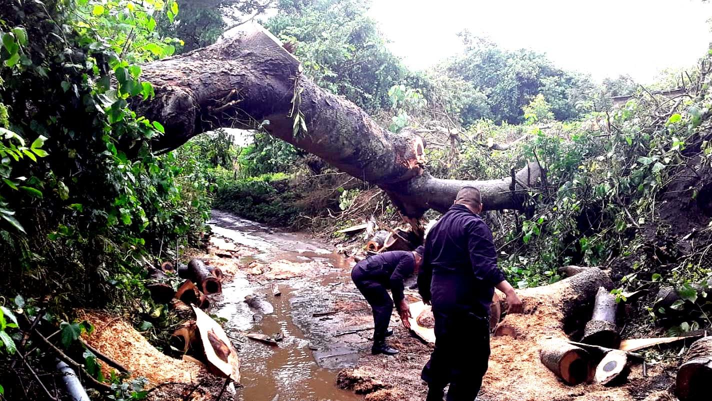 Calle Agua Zarca Ciudad Arce