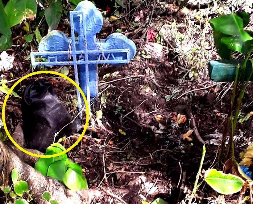 Decomiso de marihuana en cementerio de Cuscatlán 1
