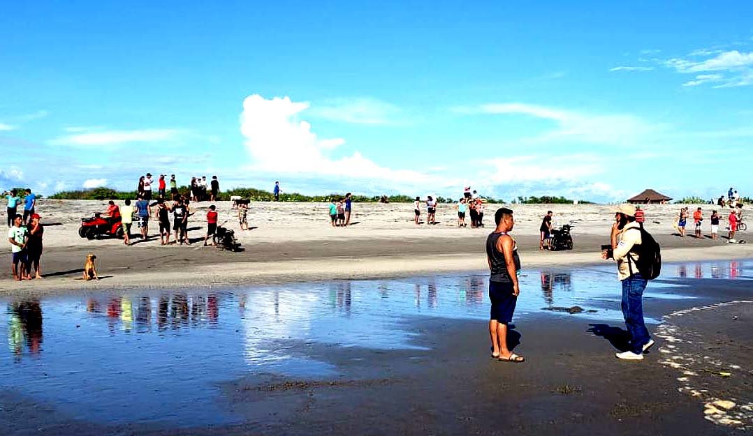 Cocodrilos en isla Tasajera 2