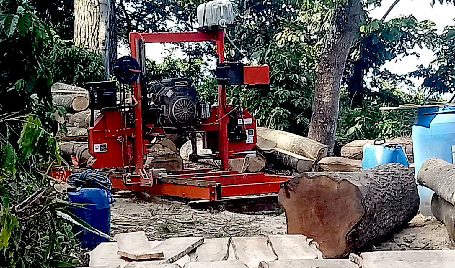 Tala de árboles en Comasagua 1