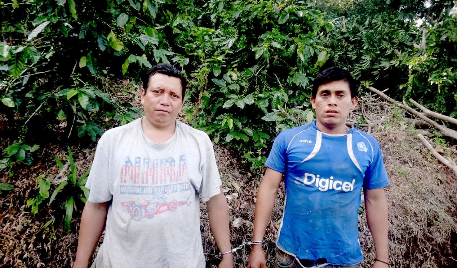 Tala de árboles en Comasagua 2