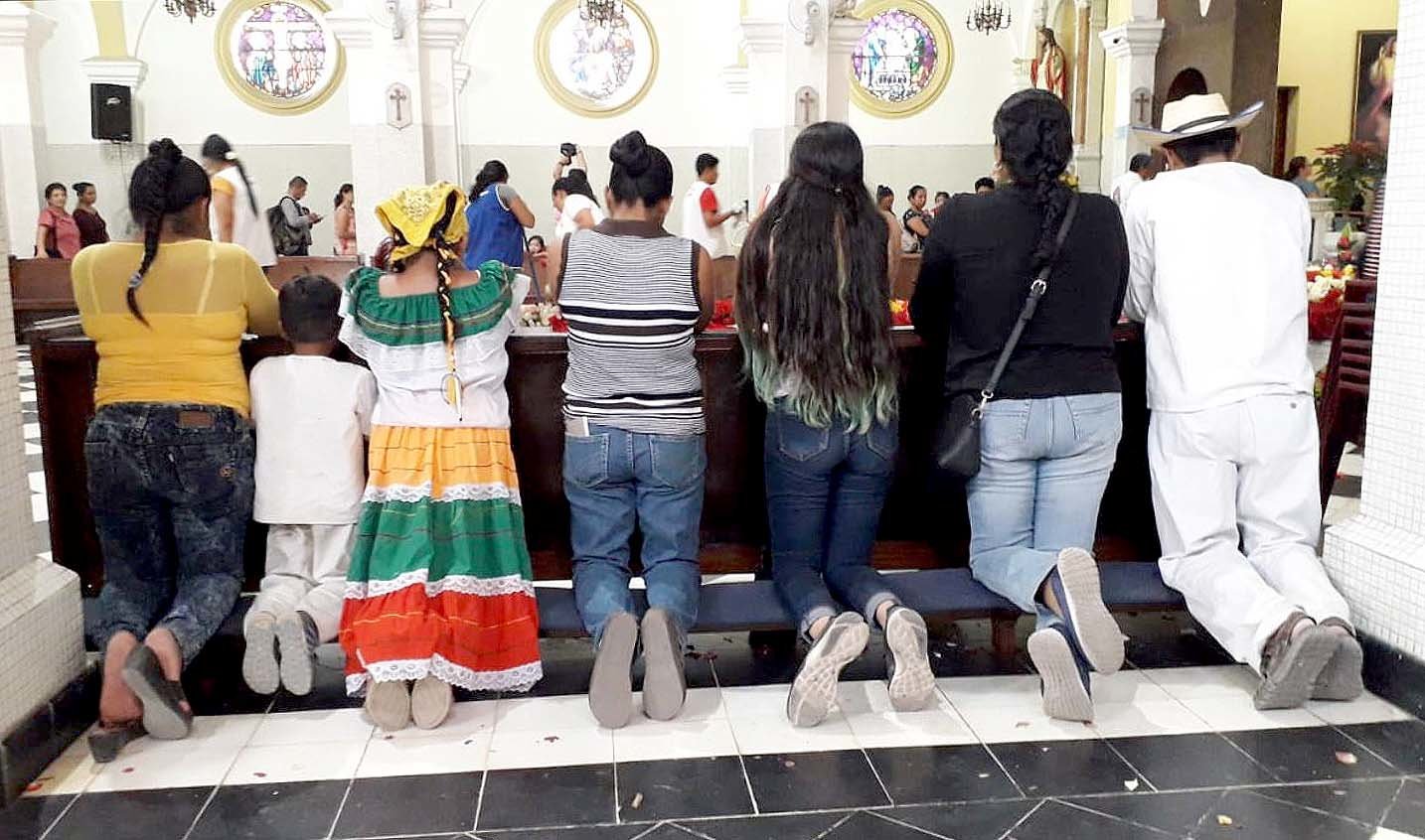 Ceiba de Guadalupe 2