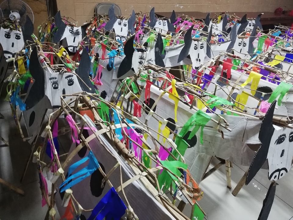 Toritos Pintos2