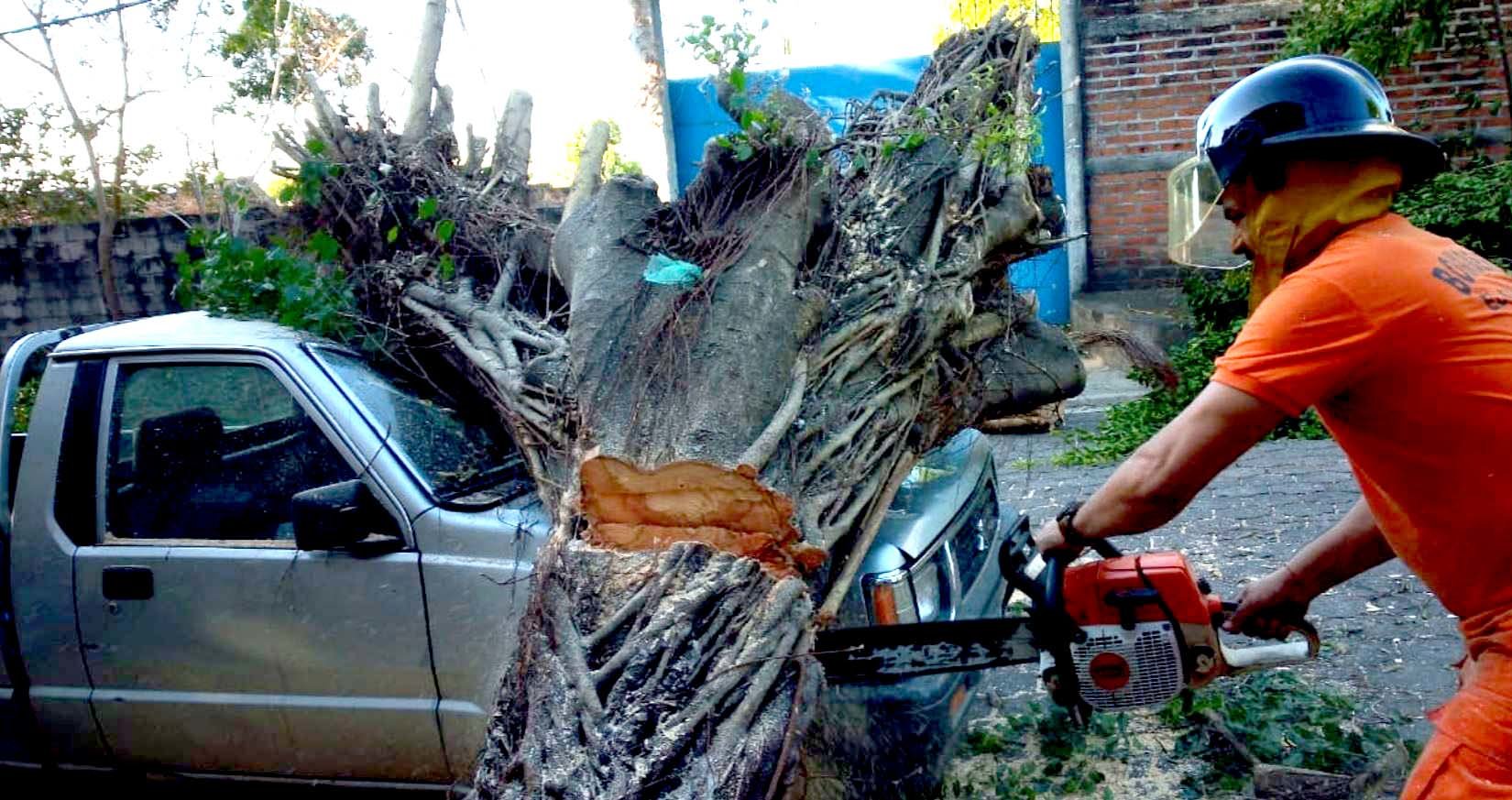 Árbol cae en vehículo en Sonsonate 5