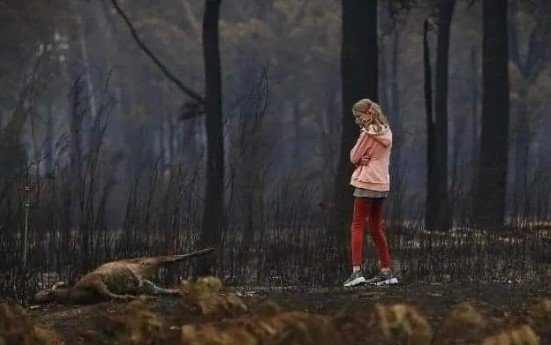 Canguros Australia