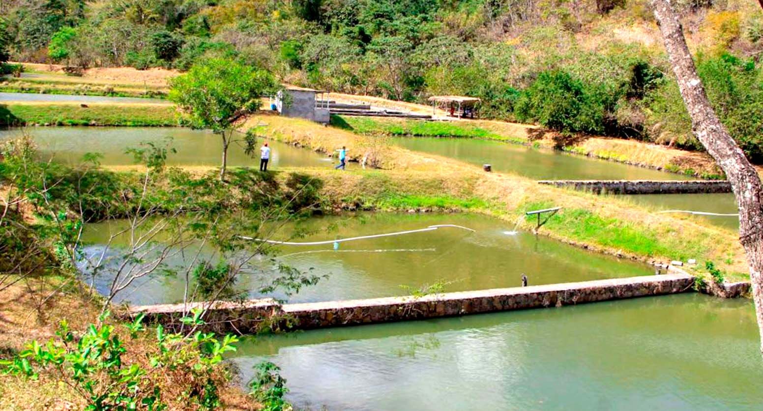 Programa de educación agroecológica 2