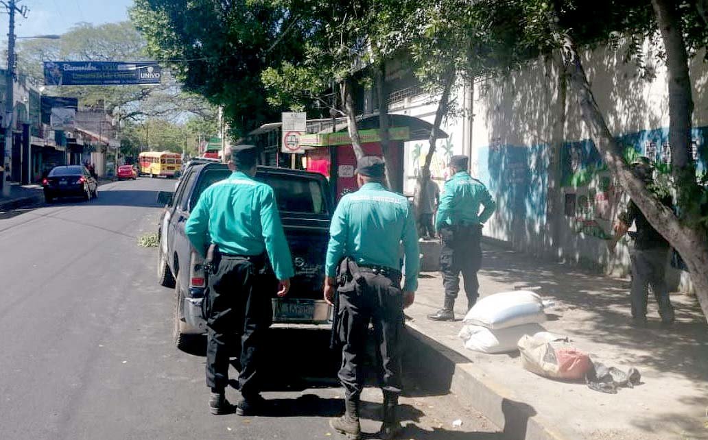 Talan árbol para instalar una champa como cafetín 1