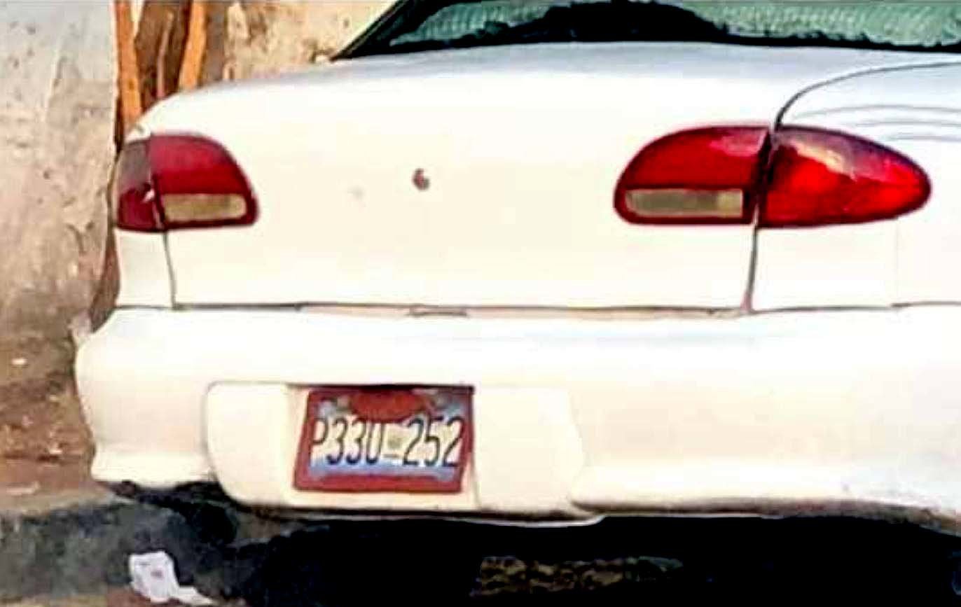 Perro abandonado en la colonia Escalón 2