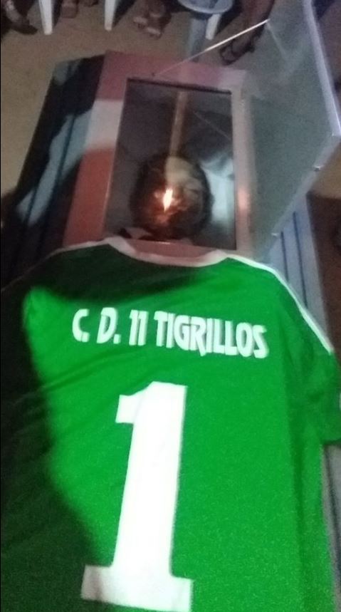 Tigrillos