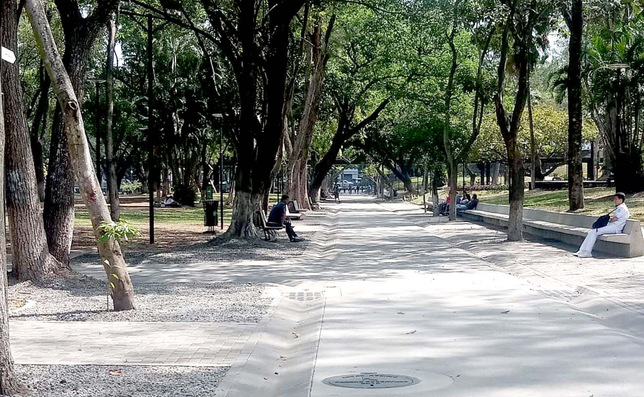 Parque Cuscatlán 1
