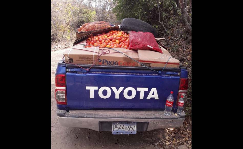 Tomates2
