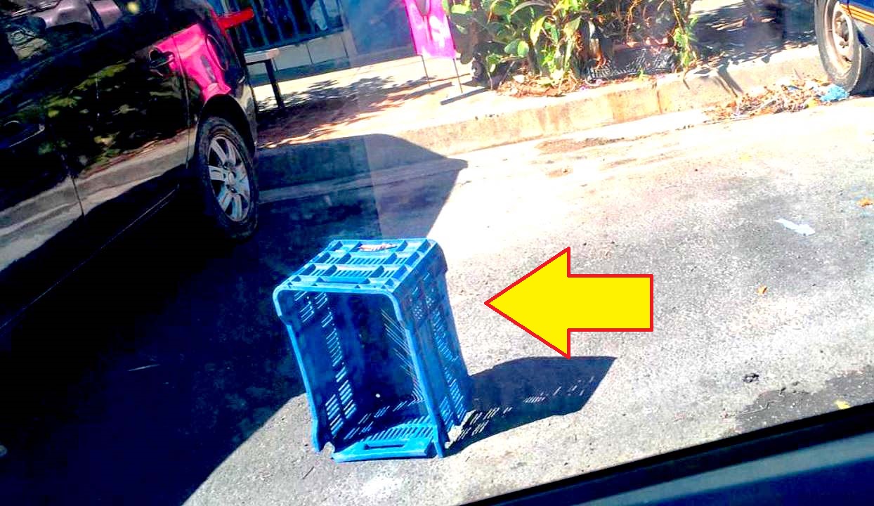 Retiran objetos que estorban en las calles de Mejicanos 6
