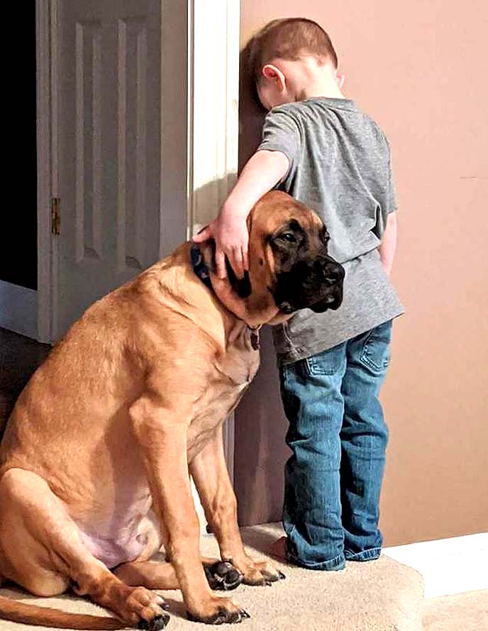 Niño es castigado y su perro lo consuela