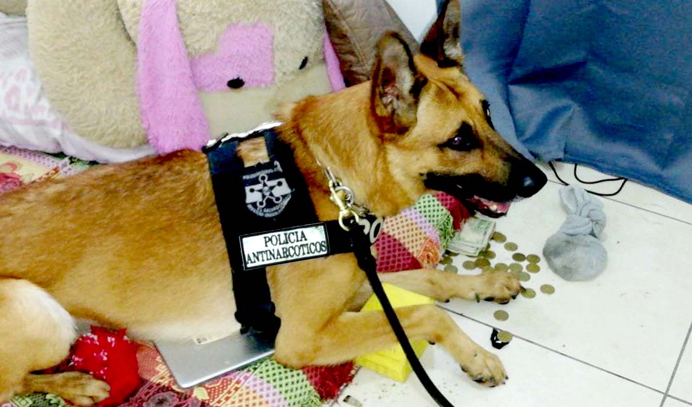 Ronal Omar Espinoza Caldonia el mareros burjo 4