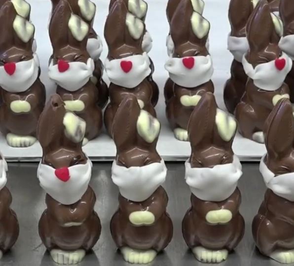 Conejitos de Chocolate2