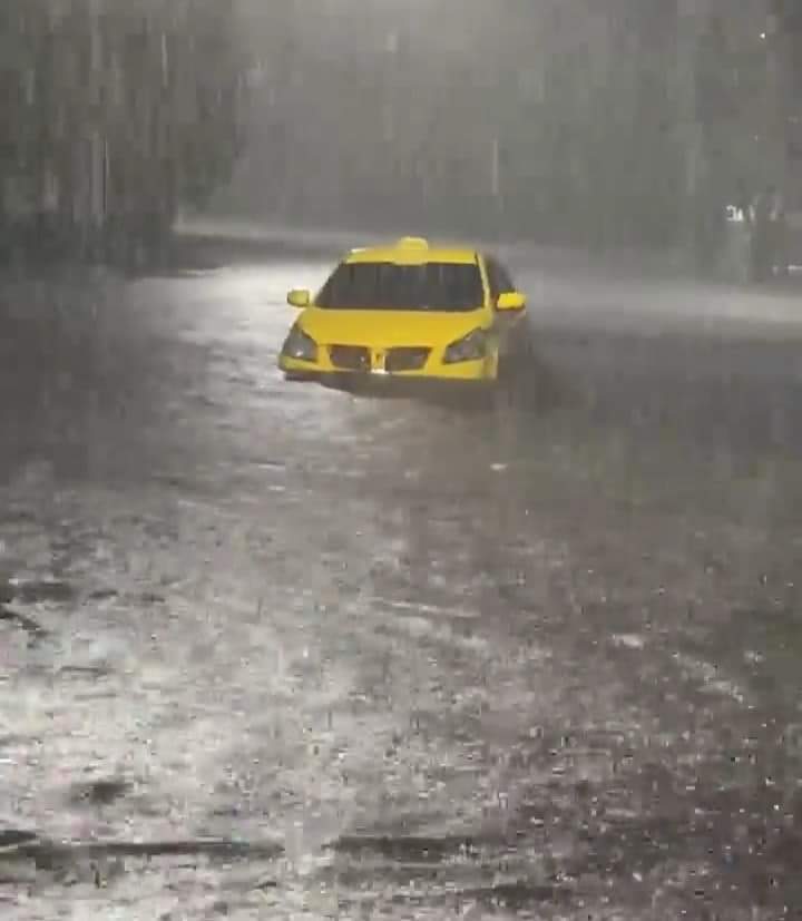 Soya inundado